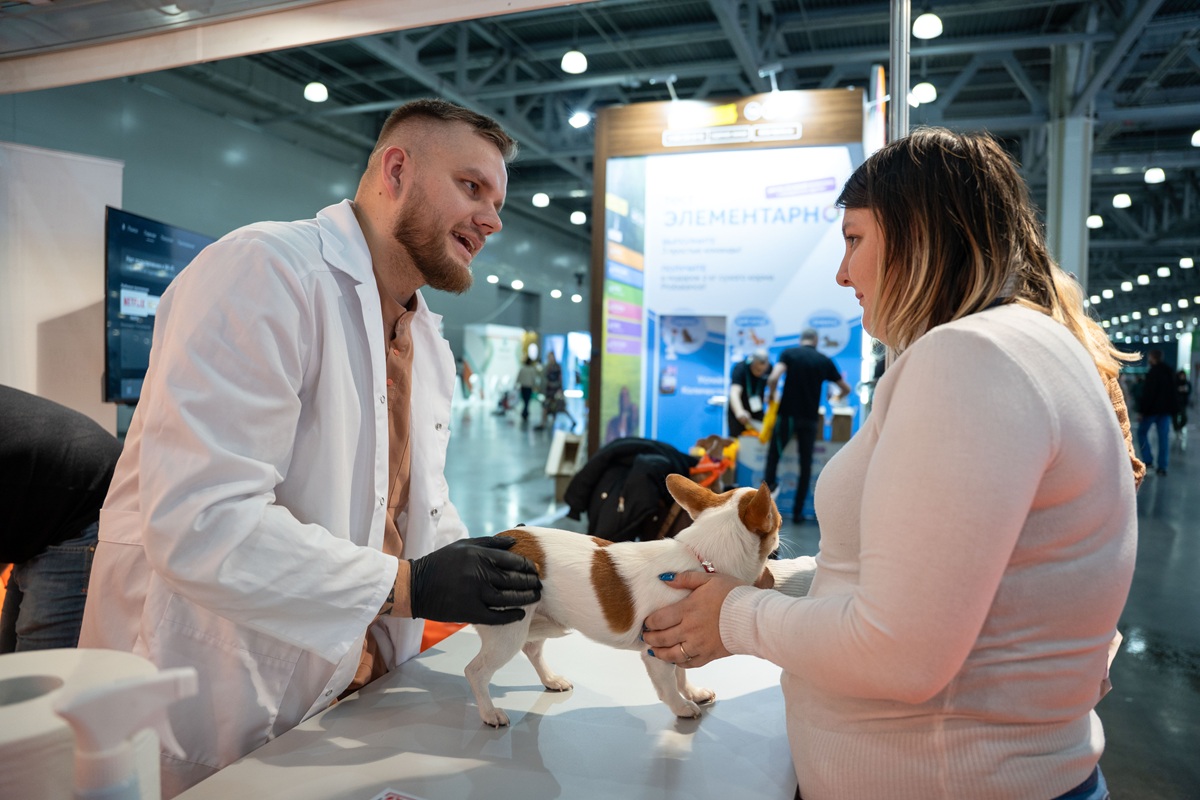 Иммунотерапия в ветеринарной онкологии практически не развита — эксперт