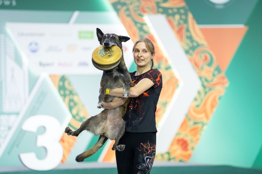 Дог-фрисби: что нужно знать владельцам собак