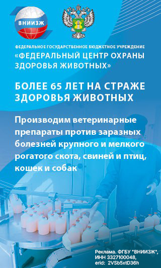 ВНИИЖ (десктоп 1)