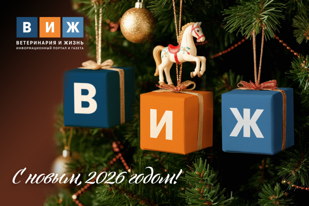 Поздравляем с Новым годом!