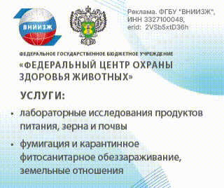 ВНИИЖ (моб 2)