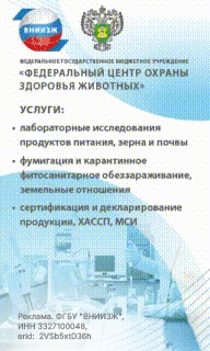 ВНИИЖ (десктоп 2)