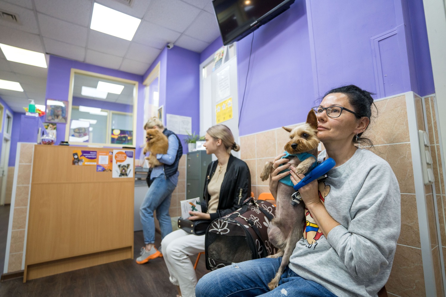 Глава Национальной ветеринарной палаты усомнилась в эффективности лицензирования клиник для домашних животных