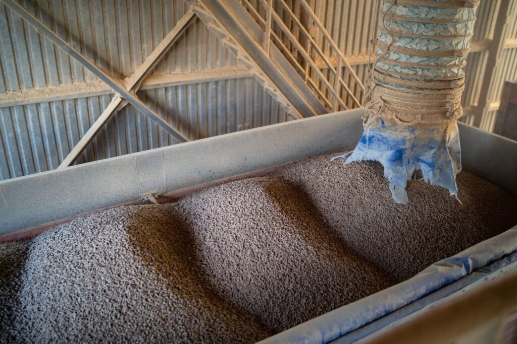 Производство комбикормов в РФ растет на фоне увеличения поголовья свиней и птицы