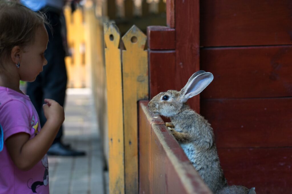 Великобритания запускает масштабную реформу защиты животных до 2030 года