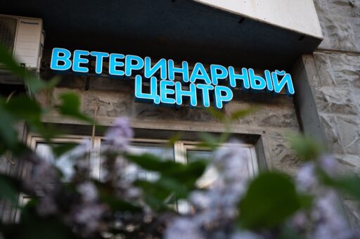 Ветеринарных клиник в России стало в 1,5 раза больше за четыре года