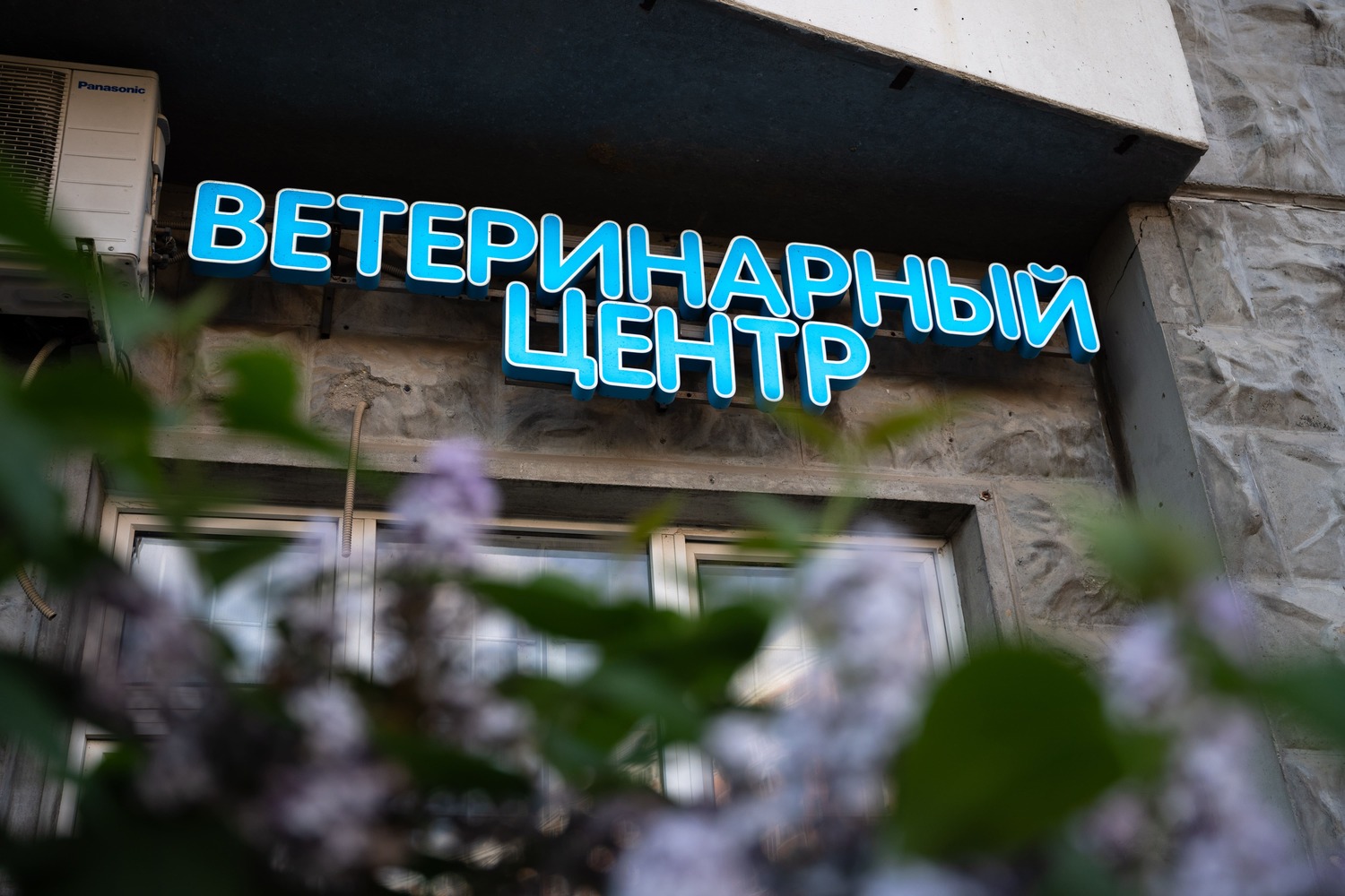 Ветеринарных клиник в России стало в 1,5 раза больше за четыре года