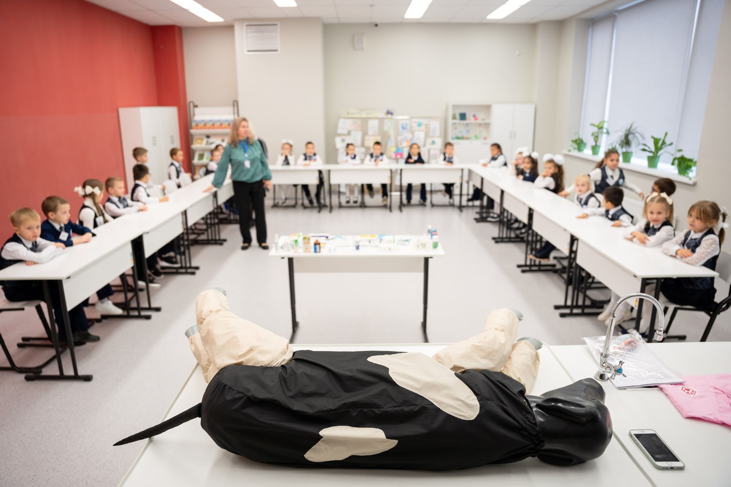 Профессия ветеринарного врача стала одной из самых популярных среди школьников