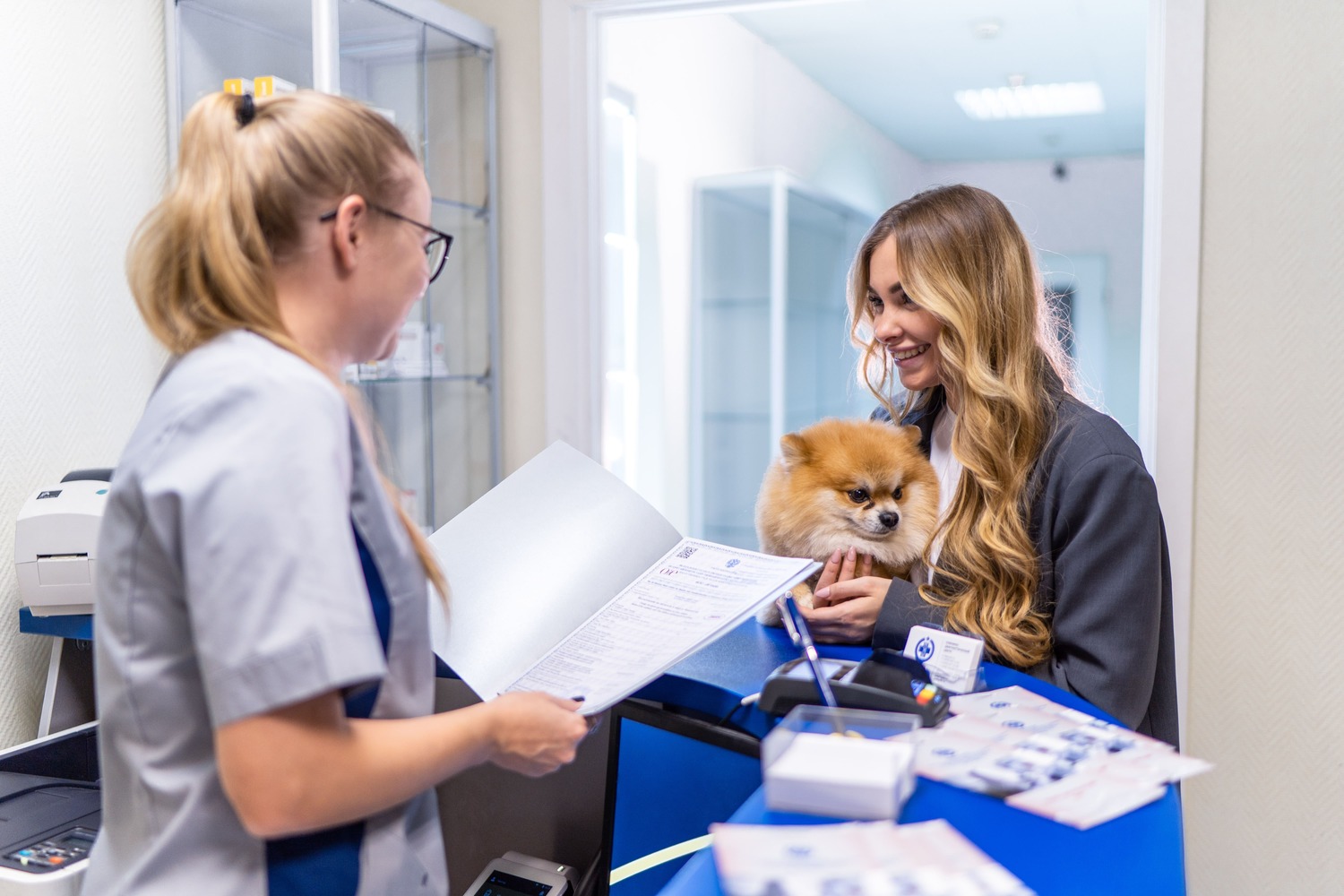 Страховка для кошек и собак: как работает защита и когда она действительно нужна