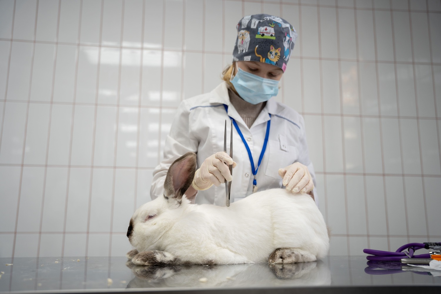 Подготовку ветеринаров в агроколледжах поддержат специальными грантами