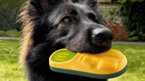 «Хэппи мил» для питомцев: McDonald’s во Франции заменил игрушки для детей на мячики для собак