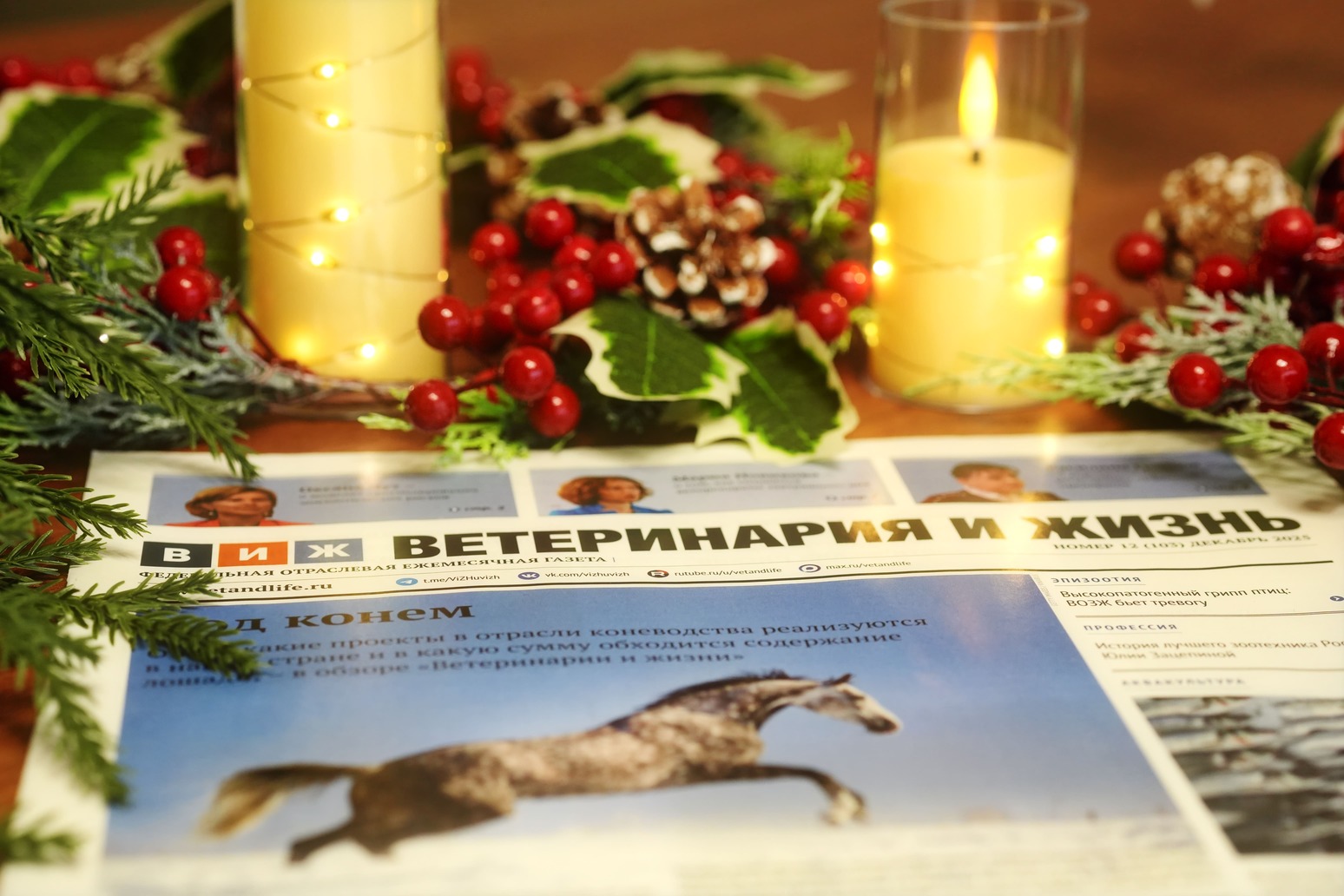 Вышел в свет предновогодний выпуск газеты «Ветеринария и жизнь»