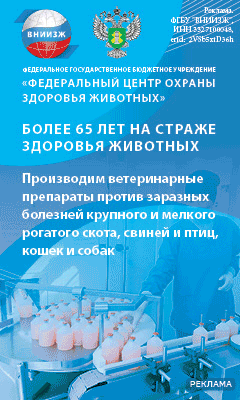 ВНИИЖ (десктоп 1)