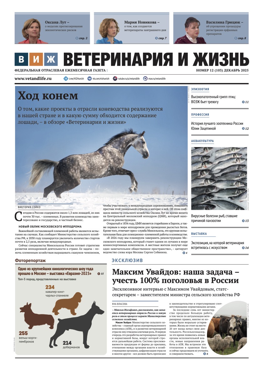 Номер 12(103) декабрь 2025