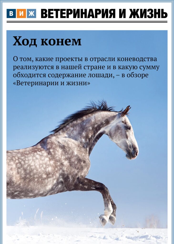 Номер 12(103) декабрь 2025