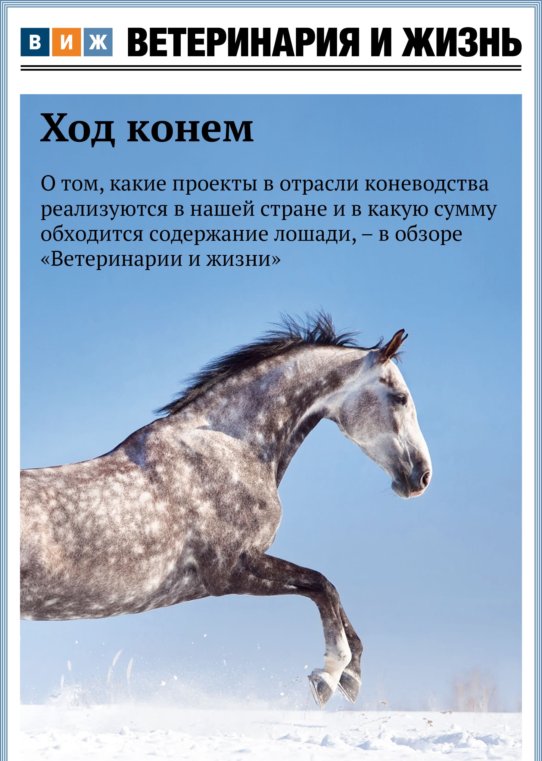 Номер 12(103) декабрь 2025