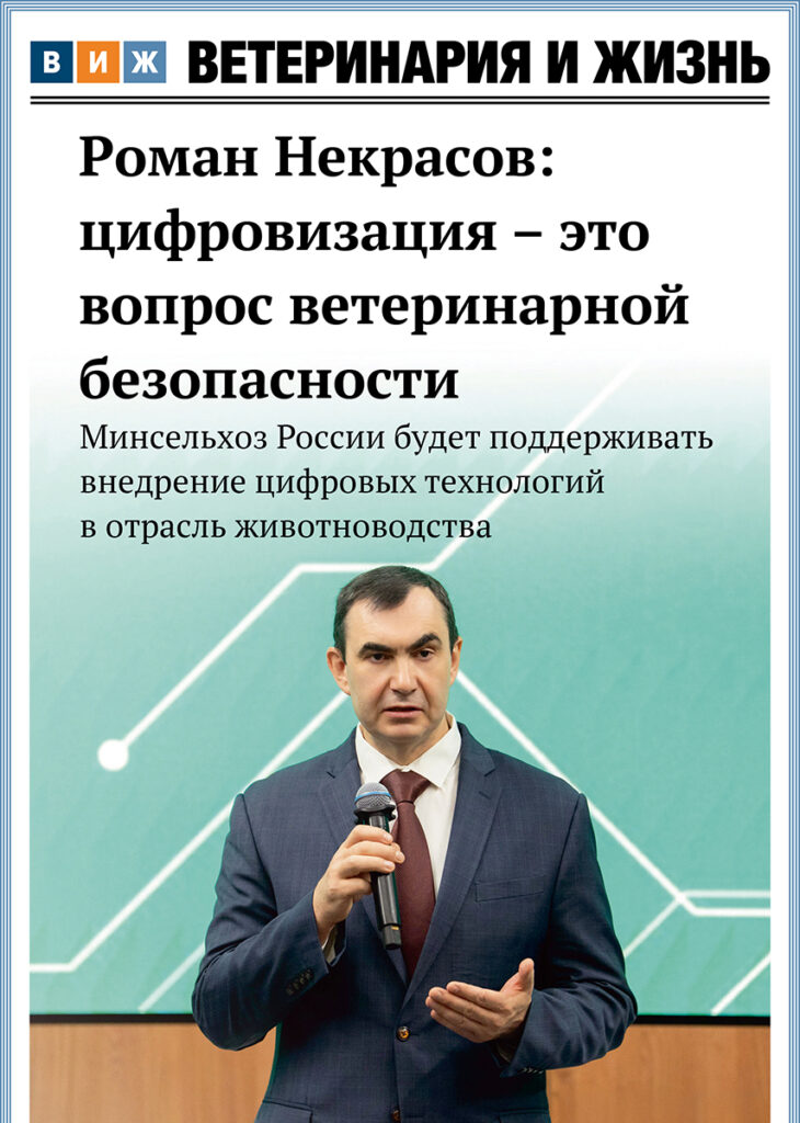 Номер 11(102) ноябрь 2025