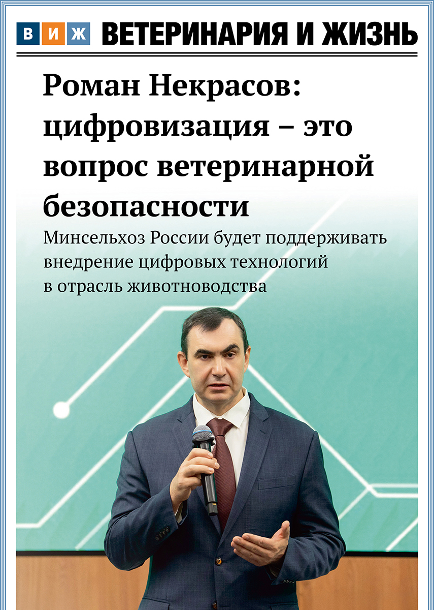 Номер 11(102) ноябрь 2025