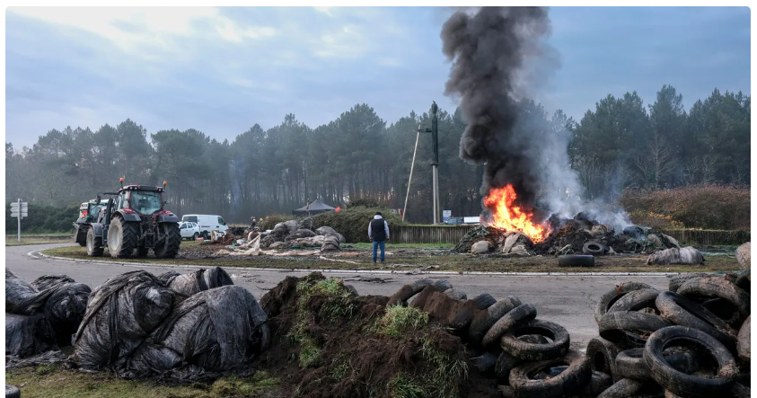 Забастовка во Франции: фермеры вывесили труп теленка перед Минсельхозом