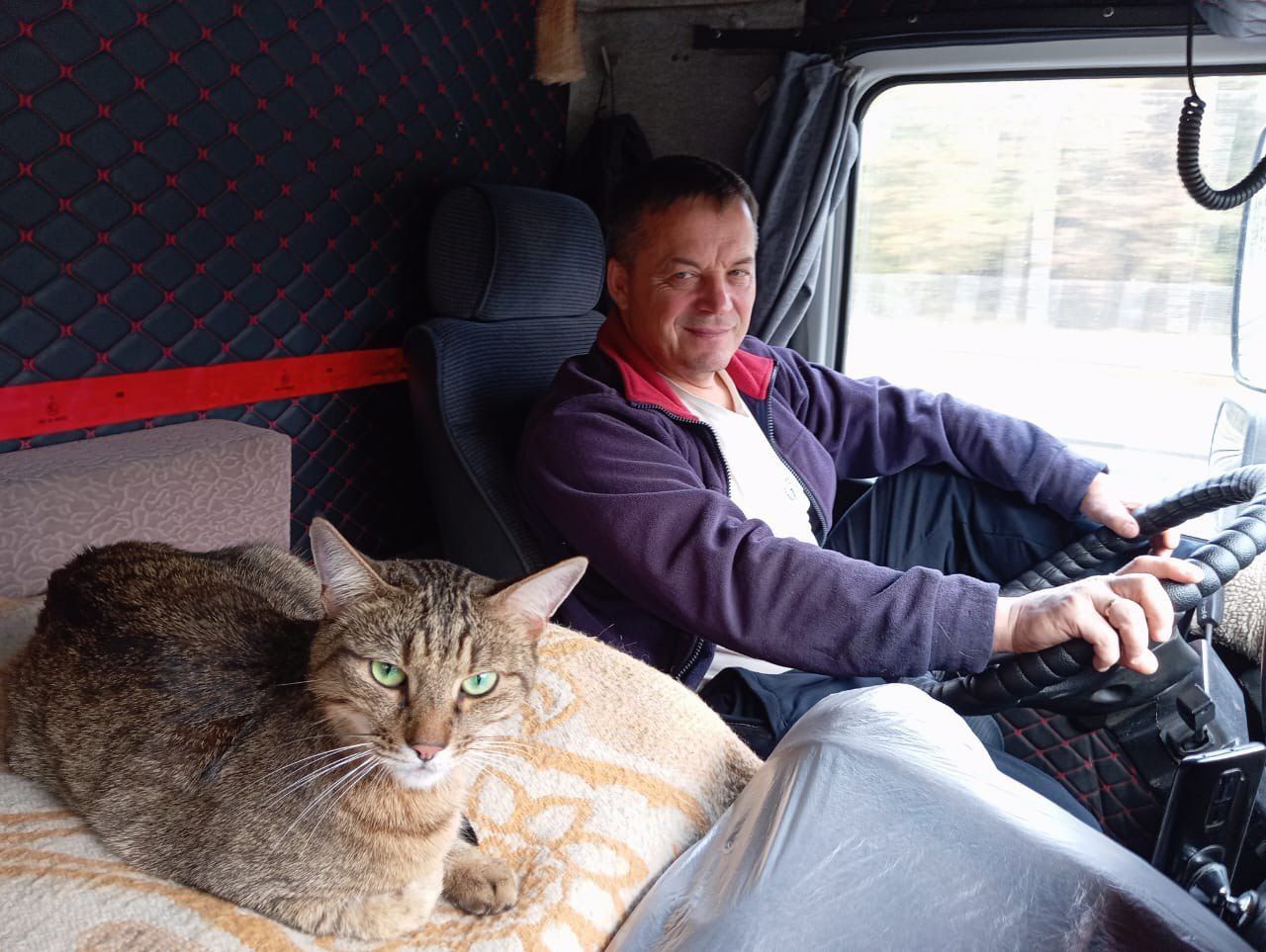 Путешественник поневоле: как кот Федос проехал полстраны и стал легендой железных дорог