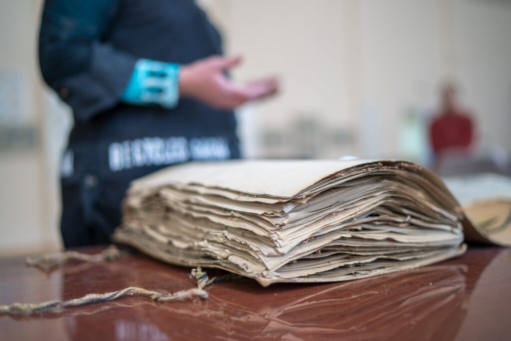 Покусы под следствием: в Дербенте возбудили дело после массовых нападений собак на людей