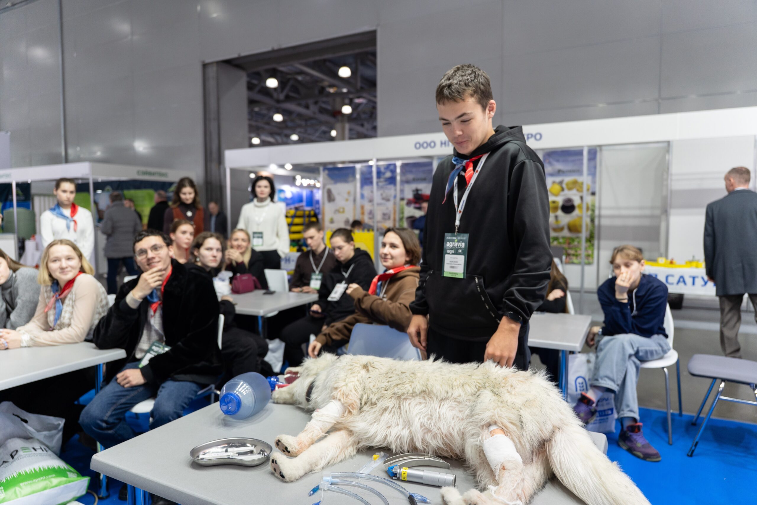 Московская ветеринарная академия провела мастер-класс по реанимации собак на AGRAVIA 2026
