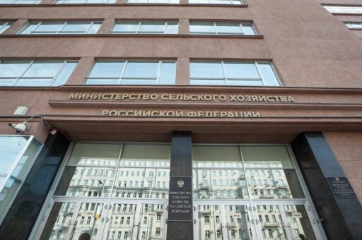 Заместителем министра сельского хозяйства России назначена Мария Маркелова