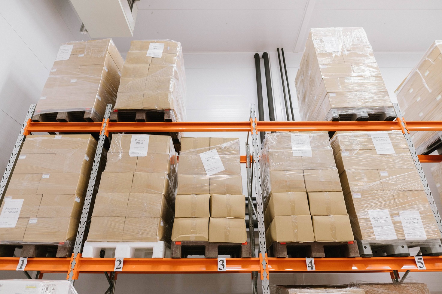 Почти 3 млн упаковок ветпрепаратов не пустили в РФ из-за отсутствия GMP