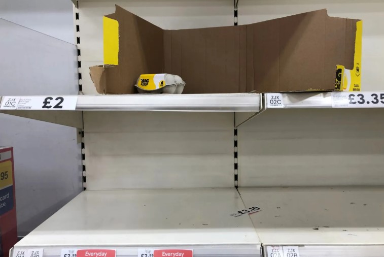 Шотландия столкнулась с нехваткой куриных яиц из-за гриппа птиц