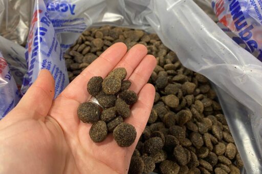 Первое в РФ производство pet-кормов с концентратом из насекомых запускают в Сибири