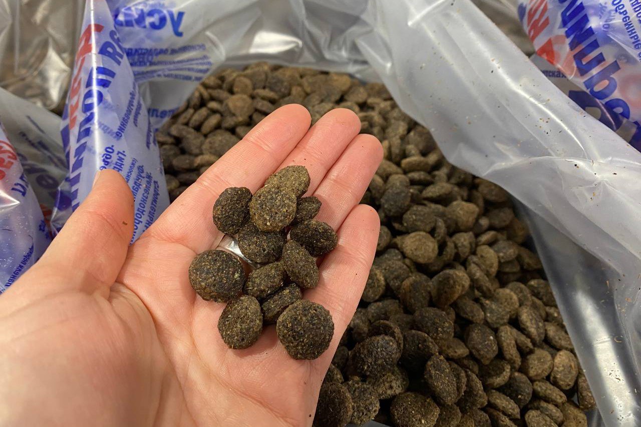 Первое в РФ производство pet-кормов с концентратом из насекомых запускают в Сибири