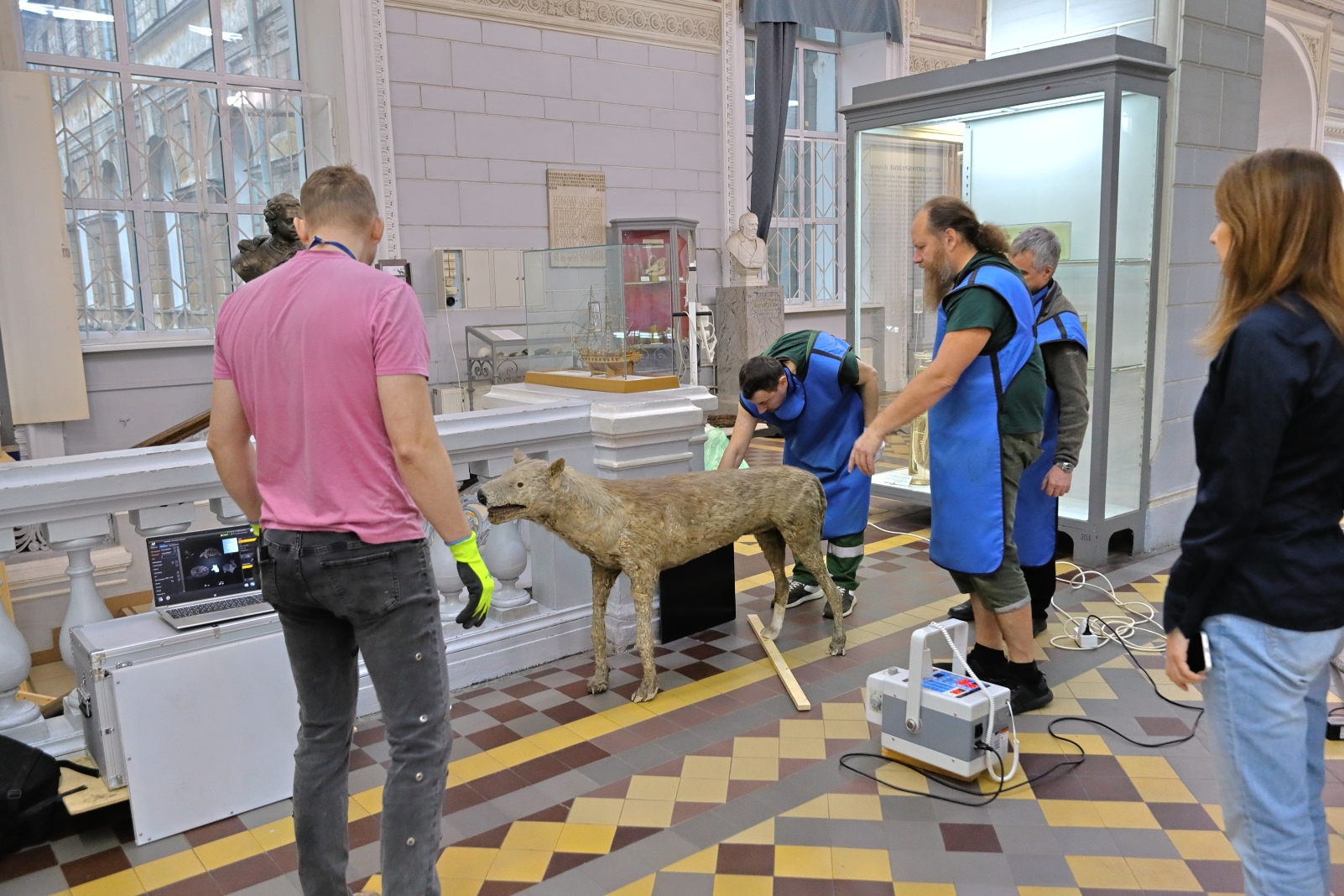 Биологи в Петербурге выяснят породы собак Петра Первого