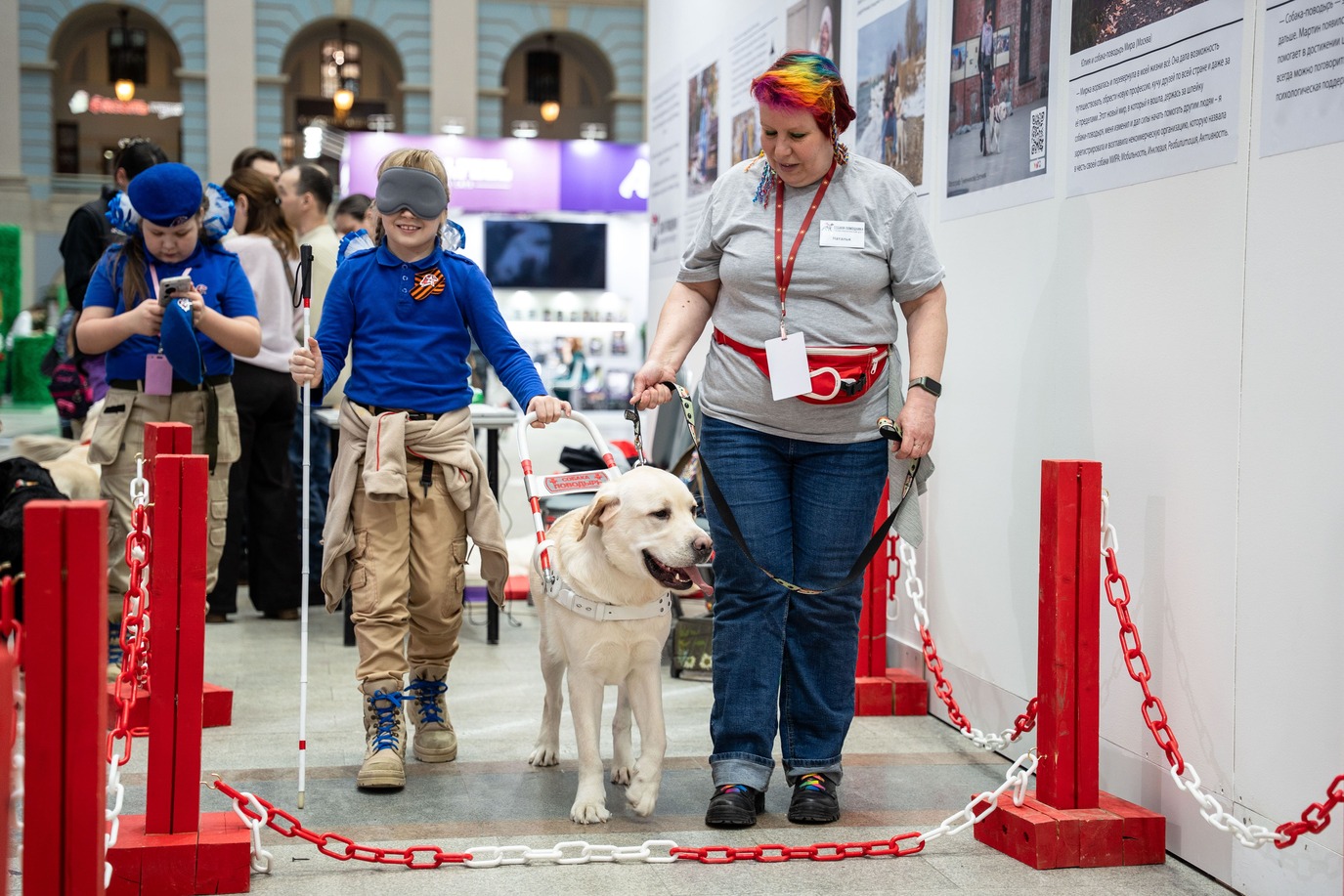 Не только поводырь: в России предлагают открыть общественные места для всех собак-ассистентов