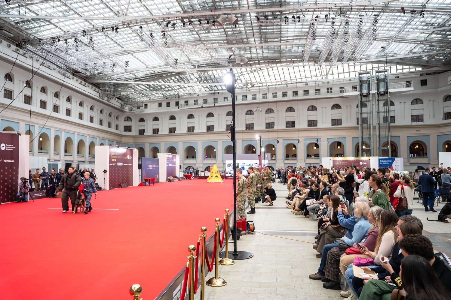 Как проходит выставка «Лучшие собаки и кошки России»: фоторепортаж с первого дня 