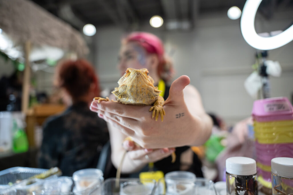 Фестиваль «Зоофест Эко» с зоной пристройства и выставками пород пройдет в «Крокус Экспо»