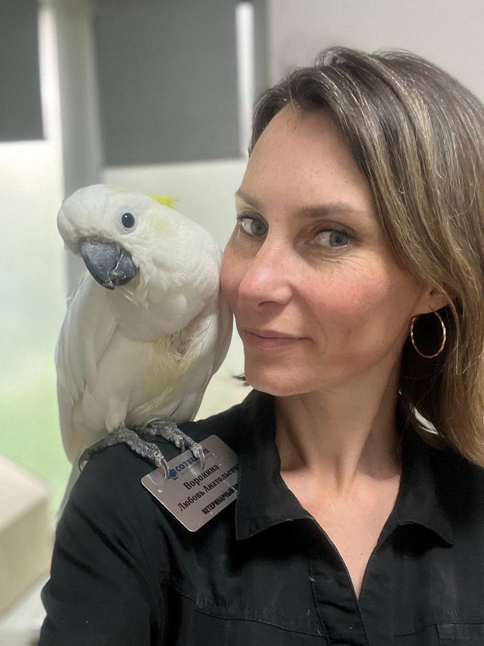 Птицы — это целые миры: врач-орнитолог рассказала об особенностях своей работы