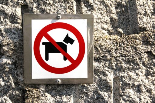ГОСТ для pet-friendly-гостиниц учтет интересы гостей без животных