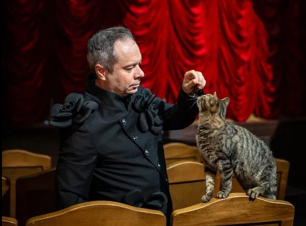 Кошка Вижа вышла в шорт-лист номинантов на «Лохматый Оскар»