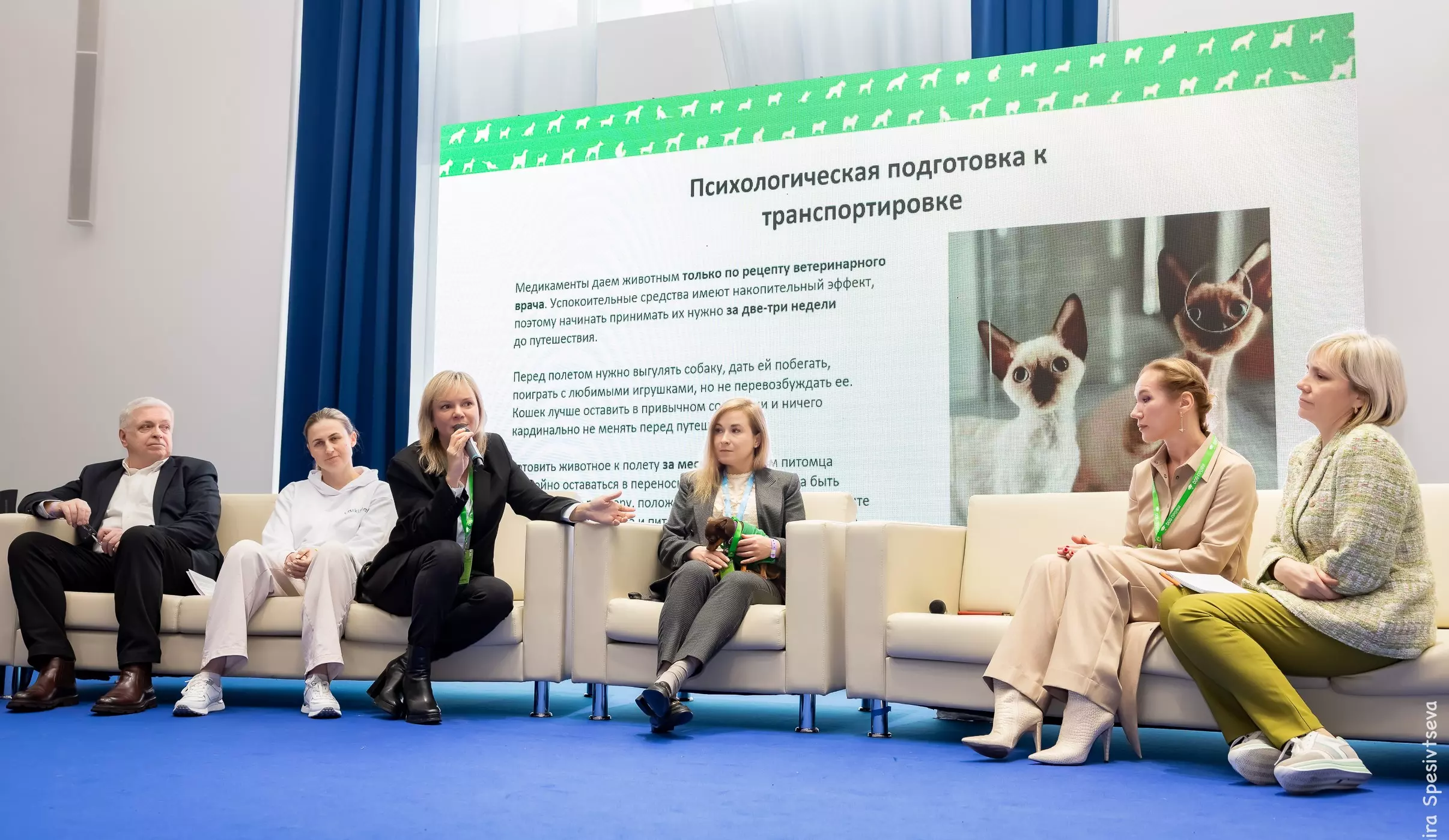 Конференция «Dog-профи» для заводчиков состоится 4–5 апреля в Москве