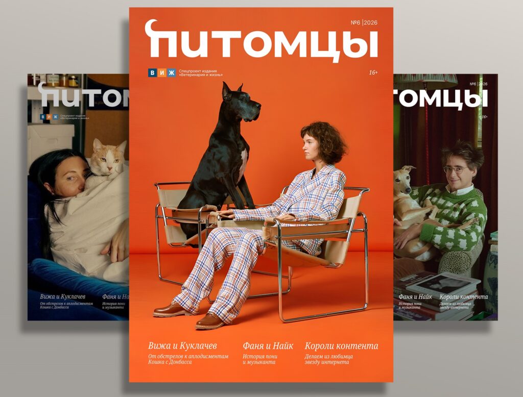 Журнал «Питомцы» меняет логотип и визуальный стиль