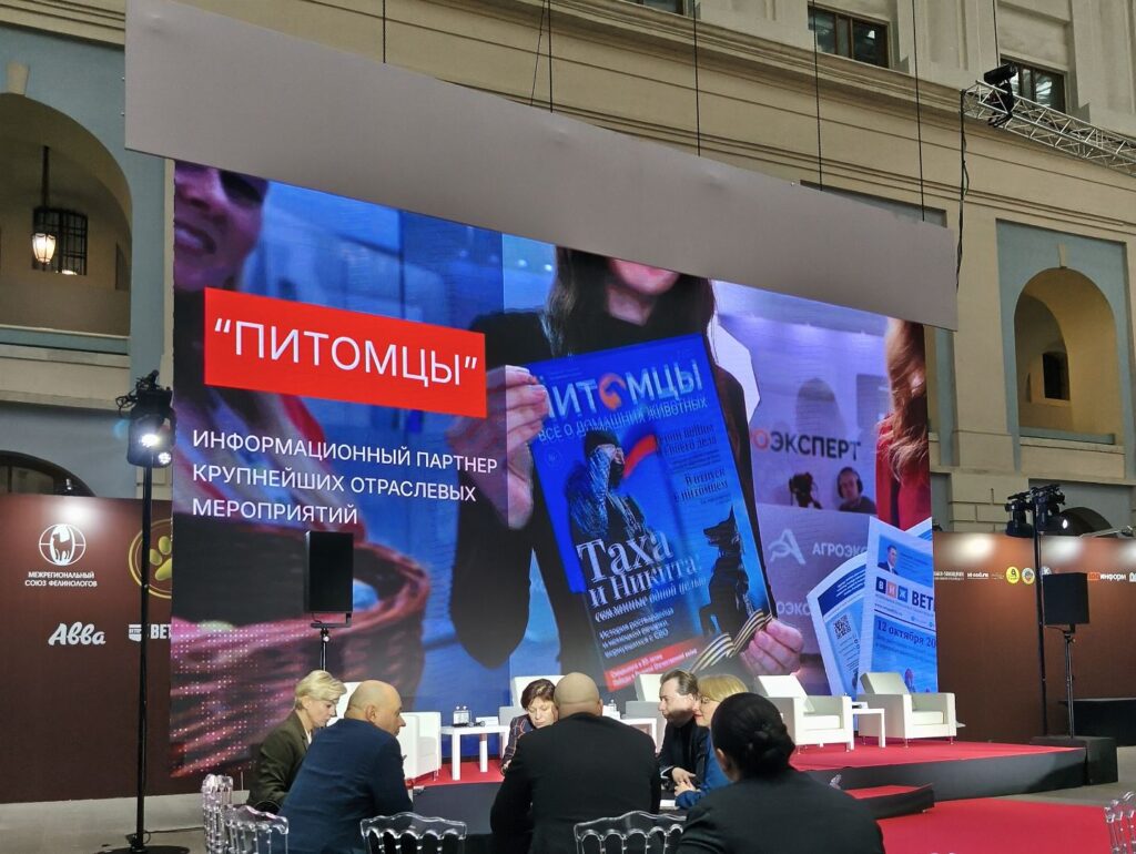 Выставка «Лучшие собаки и кошки России» стартовала в «Гостином Дворе» в Москве