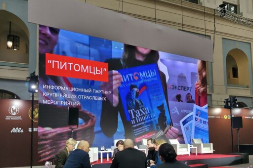 Выставка «Лучшие собаки и кошки России» стартовала в «Гостином Дворе» в Москве