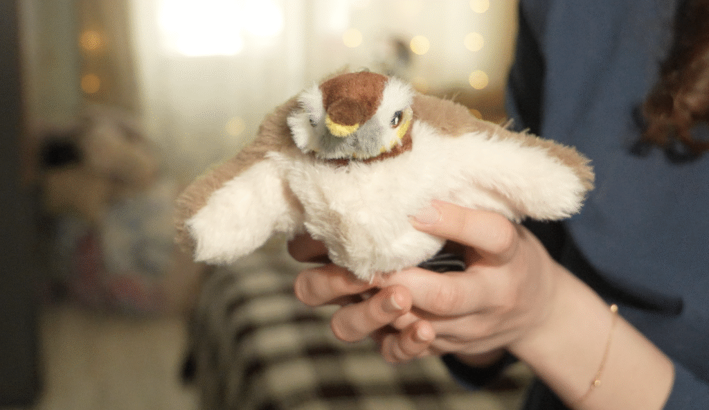 «ТехноХвост»: тестируем интерактивную птичку для кошек