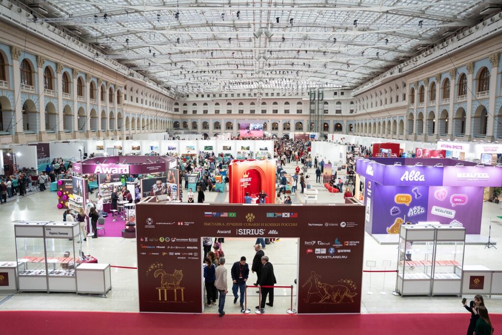 Второй день выставки «Лучшие собаки и кошки России»: фоторепортаж