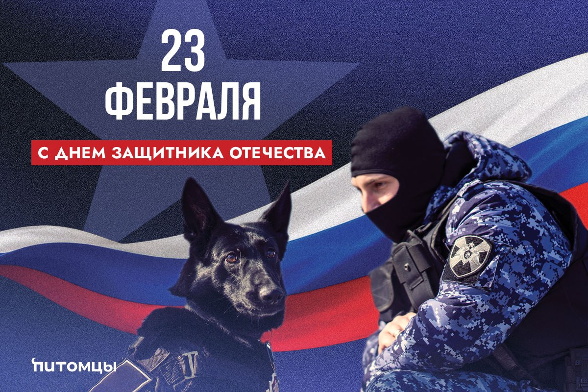 С Днем защитника Отечества!