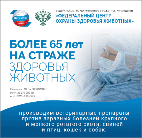 ВНИИЖ 482×467 2