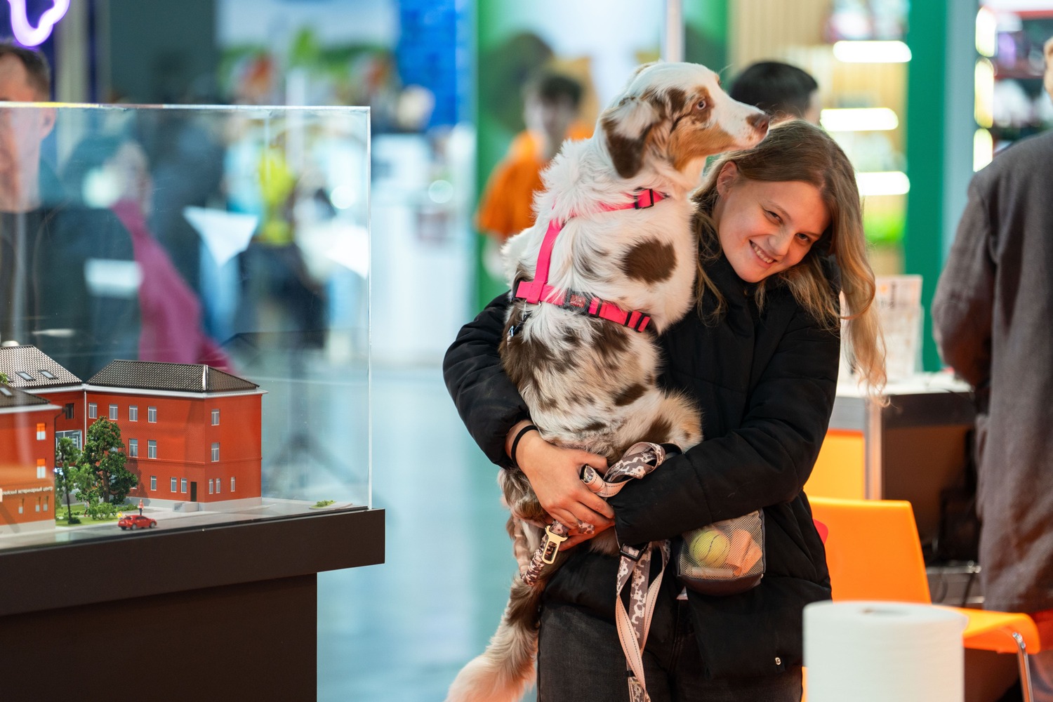 Количество pet-friendly отелей и ресторанов в РФ вырастет вдвое к 2030 году