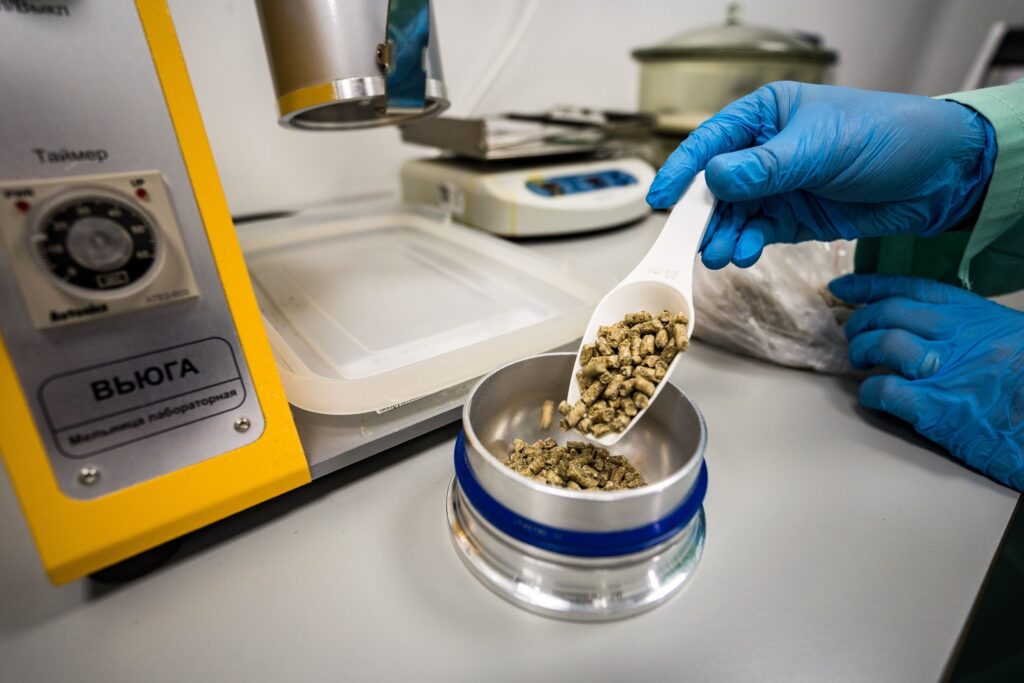 Выявлять опасную бактерию в кормах станет проще благодаря новой методике