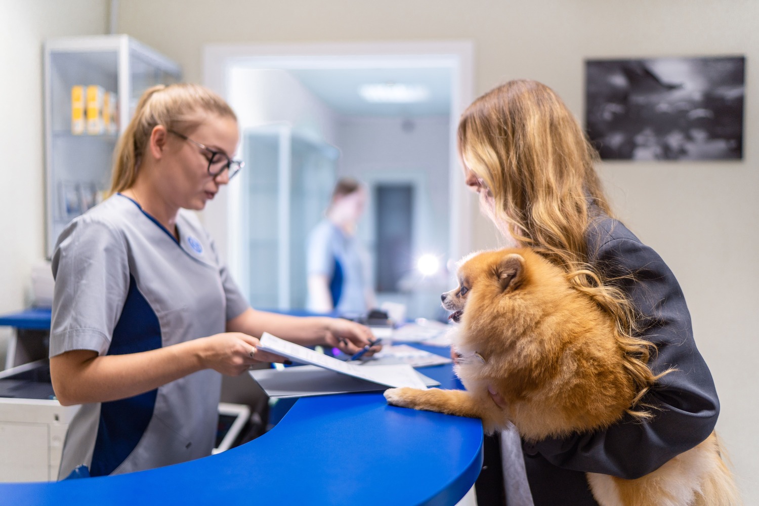 Почему собака кашляет и когда это повод обратиться к ветеринару