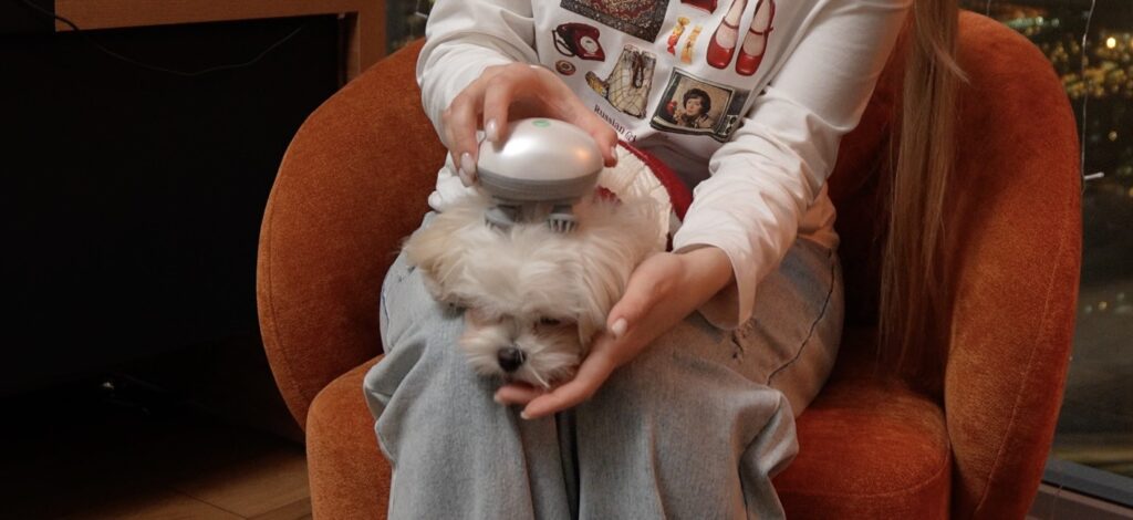 «ТехноХвост»: тестируем массажер для кошек и собак